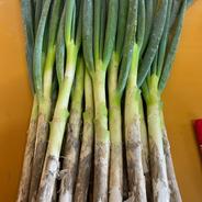 深谷蜜ねぎ（10kg）｜農家直送・新戒産・冬限定の贅沢ねぎ ｜ 野菜
