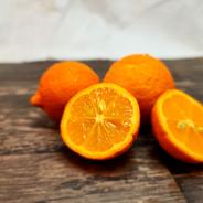 箱込約3㌔　シトロンルージュ　紅いレモン 箱込約3㌔ 果物や野菜などのお取り寄せ宅配食材通販産地直送アウル