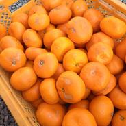 安間農園の三岳みかん🍊【🉐SDGs】 10kg×2箱 果物や野菜などのお取り寄せ宅配食材通販産地直送アウル