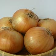 北海道産 玉ねぎL-2L 20kg 産地直送 辛みが少なく瑞々しい！ ｜ 野菜
