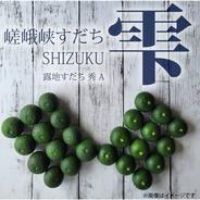 すだち 完全無農薬 3kg ｜ 果物/香酸柑橘(ライム・レモン等) 産直