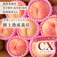 桃【アルプス美人】 ｜ 果物/もも 産直アウル 農家・漁師など生産者