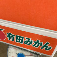 有田みかん　サイズ:2S 5kg 果物や野菜などのお取り寄せ宅配食材通販産地直送アウル