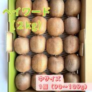 農薬節約栽培】バイオレットキング(種なし) 36粒 山梨県産 ｜ 果物
