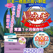 【長野県産】訳あり 美味しい長ねぎ泥付き5kg～   45本以上 1本あたり55円〜 泥付き5kg～   45本以上 1本あたり55円〜 果物や野菜などのお取り寄せ宅配食材通販産地直送アウル