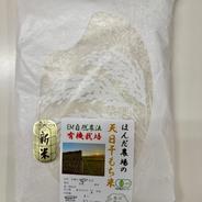 令和8年新米】マンゲツモチ 10kg 玄米 お餅や赤飯に最適。自家製米ぬか