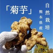 自然栽培　菊芋 2kg 果物や野菜などのお取り寄せ宅配食材通販産地直送アウル