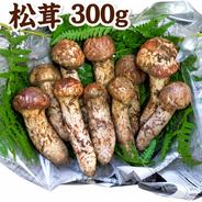 長野県産　松茸　500g 長野県産松茸【約500g】 ｜ 野菜/きのこ 産直アウル 農家・漁師など
