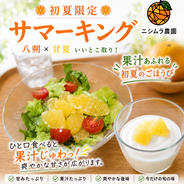 送料無料】乾燥にんじん葉10g×2袋（栽培期間中農薬・化学肥料不使用