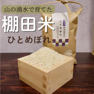 【令和７年米予約/特別栽培米】ひとめぼれ5㎏ 棚田米 10kg 果物や野菜などのお取り寄せ宅配食材通販産地直送アウル