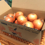 淡路島玉ねぎ5kgＭ〜LLサイズ混合 Ｍ〜LL 5kg 果物や野菜などのお取り寄せ宅配食材通販産地直送アウル
