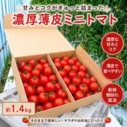 当日朝採り・冷蔵便】甘さが弾けるミニトマト クリーンなハウス水耕