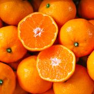 甘い!小さいサイズ! B級小玉の天使のみかん 有田みかん5kg 最高級