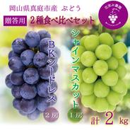 BS-2上　花笑み農園　岡山の『BKシードレス＆シャインマスカット』約2kg　贈答用【9月21日～順次発送】 約２ｋｇ 果物や野菜などのお取り寄せ宅配食材通販産地直送アウル
