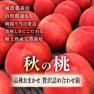 秋の濃厚桃 贅沢詰め合わせ箱】 ｜ 果物/もも 産直アウル 農家・漁師