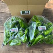 ☆有機JAS認証☆朝採れ新鮮！ピーマン1㎏ ピーマン1㎏ 果物や野菜などのお取り寄せ宅配食材通販産地直送アウル