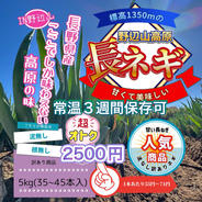 [長野県産]訳あり長ネギ 泥無し 5kg 45本以上 1本あたり55円 果物や野菜などのお取り寄せ宅配食材通販産地直送アウル