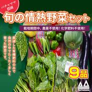 農園自慢の情熱野菜セット☆訳あり☆発送タイミングおまかせ