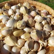北海道産　にんにく1kg 1kg 果物や野菜などのお取り寄せ宅配食材通販産地直送アウル