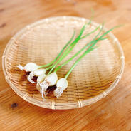 湧水発芽にんにく（150個入） 150個入（5個入×30袋） 果物や野菜などのお取り寄せ宅配食材通販産地直送アウル