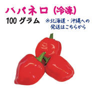ハバネロ 約50g 宮崎産 完熟 フレッシュ 激辛 収穫後農園から直送