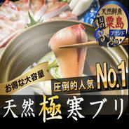 🐟今の時期は寒ブリ三昧で海ブランド"天然国産決まり🐟家族が歓喜する日本"活き〆寒ブリ刺身＆ブリしゃぶ用【2月上中旬発送】大容量キャンペーン約700g🐟冬ギフト🐟【アウルの日】 寒ブリ大容量約700g 果物や野菜などのお取り寄せ宅配食材通販産地直送アウル