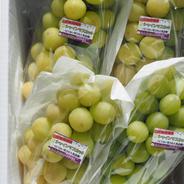 完熟黄色のゴールデンシャインマスカット 約2キロ | 果物/ぶどう 産直