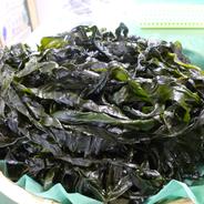 2026年製品 5kg入 茎わかめ 茎ワカメ 塩蔵ワカメ B級品 訳あり品