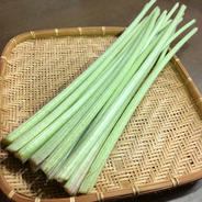 《シャキッとほろ苦い！》ふき『秋田ふき』 1kg（約25~40本） 果物や野菜などのお取り寄せ宅配食材通販産地直送アウル