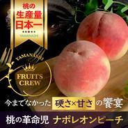 🍑お中元ギフト🍑【8月晩生品】先行予約💡ニノさん出演で話題！硬さ×甘さの饗宴『ナポレオンピーチ』今までの桃の常識を覆す革命児！🍑アウルの日🍑 ナポレオンピーチ約1.5キロ 果物や野菜などのお取り寄せ宅配食材通販産地直送アウル