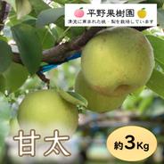 清流球磨梨・甘太　3kg箱(3〜7個入り) 約3kg 果物や野菜などのお取り寄せ宅配食材通販産地直送アウル