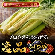【8月下旬予約】やみつきリピーター続出シェフさえも唸らせる『富士信玄ヤングコーンふじひめ』大容量5kg【朝採れ】【旬祭限定】 ヤングコーン大容量約5kg 果物や野菜などのお取り寄せ宅配食材通販産地直送アウル