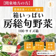 【関東へ配送の方】100サイズが圧倒的にお買得！箱いっぱい房総旬野菜詰め合わせ（100サイズ箱） 100サイズ箱いっぱい 果物や野菜などのお取り寄せ宅配食材通販産地直送アウル