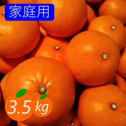 柑橘の大トロ】せとか （箱込み2kg）×2箱 ｜ 果物/オレンジ・その他