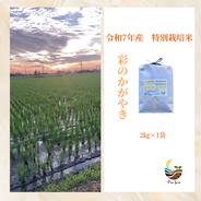 R7年産特別栽培米 彩のきずな 2kg ｜ 米・穀物/米/精米 産直アウル 