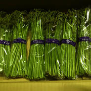 数量限定】北海道直送わらび500g ｜ 野菜/山菜 産直アウル 農家・漁師