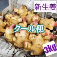 高知県産 土付き囲い生姜1キロ ｜ 野菜/薬味 産直アウル 農家・漁師