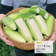 有機質栽培 減農薬 新米夢つくし玄米30キロ ｜ 米・穀物/玄米 産直