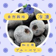 秋田県北秋田市産のブルーベリー ｜ 果物/ベリー類 産直アウル 農家