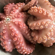 【飲食店向け】活締め マダコ (生)5kg 5kg 果物や野菜などのお取り寄せ宅配食材通販産地直送アウル