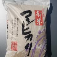 【新米7年産】5kg こしひかり精米後 こしひかり精白米5kg 果物や野菜などのお取り寄せ宅配食材通販産地直送アウル