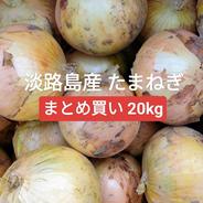 【アウルの日】淡路島産 新玉葱 20kg サラダたまねぎタマネギ玉ねぎオニオン 20kg 果物や野菜などのお取り寄せ宅配食材通販産地直送アウル