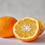 自然栽培】完全無資材 甘夏みかん 5kg箱詰／無農薬-無肥料-無除草剤