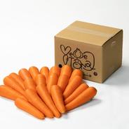 訳あり】にんじんちゃん8kg | 野菜/人参 産直アウル 農家から直接野菜