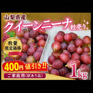 さくらんぼ品種おまかせ『訳あり品』500g ｜ 果物/さくらんぼ 産直