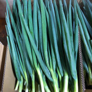 青ねぎ　加工用　根切り 5kg 果物や野菜などのお取り寄せ宅配食材通販産地直送アウル