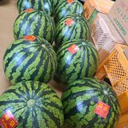 山形県産　すいか　羅皇ザ・スウィート　6Lサイズ　家庭用 すいか　6Lサイズ　1玉 果物や野菜などのお取り寄せ宅配食材通販産地直送アウル