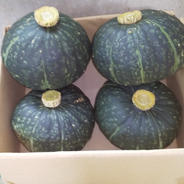 三浦のみやこ南瓜(お中元) 果物や野菜などのお取り寄せ宅配食材通販産地直送アウル
