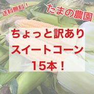 【ちょっと訳あり！】たまの農園のスイートコーン15本！※関東、信越、中部地方向け発送 15本(約4kg~4.5kg) 果物や野菜などのお取り寄せ宅配食材通販産地直送アウル