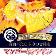 【糖度17度保証】一度食べたらやみつき確定マンゴーネクタリン🍑お中元ギフト桃🍑お試し約1kg3～4個🍑 7月中旬予約【旬祭限定】 マンゴーネクタリン約1kg 果物や野菜などのお取り寄せ宅配食材通販産地直送アウル